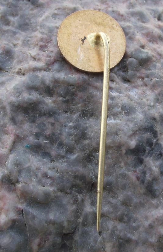 1978 Capital Sigma Greek Alphabet Mathematical Maths Sign Energy Firm Pin Badge - Badgecrazy
