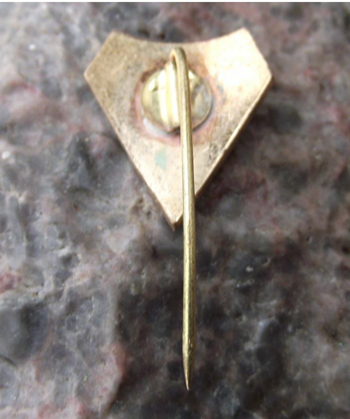 Vintage SCM Gloria Buzau Romania Soccer Football Club Crest Shield Pin Badge - Badgecrazy