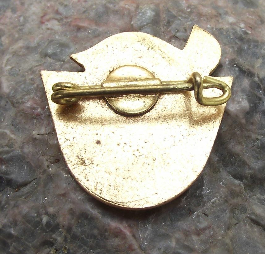 1949 ROH Czechoslovakia Trade Union Association Prague Conference Pin Badge