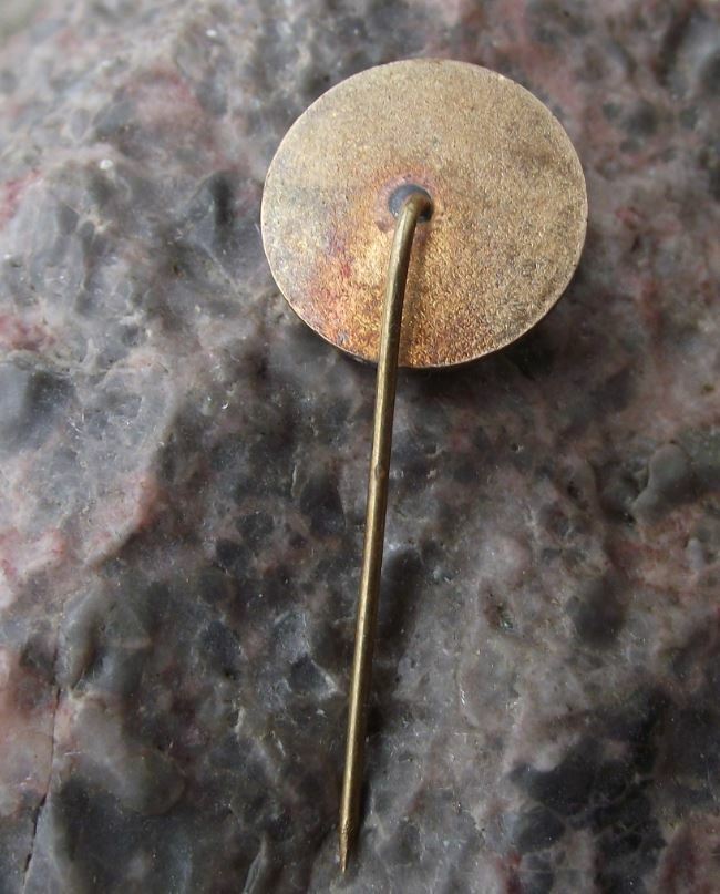 Vintage Strungul Arad Romania Soccer Football Club Crest Shield Ball Pin Badge - Badgecrazy