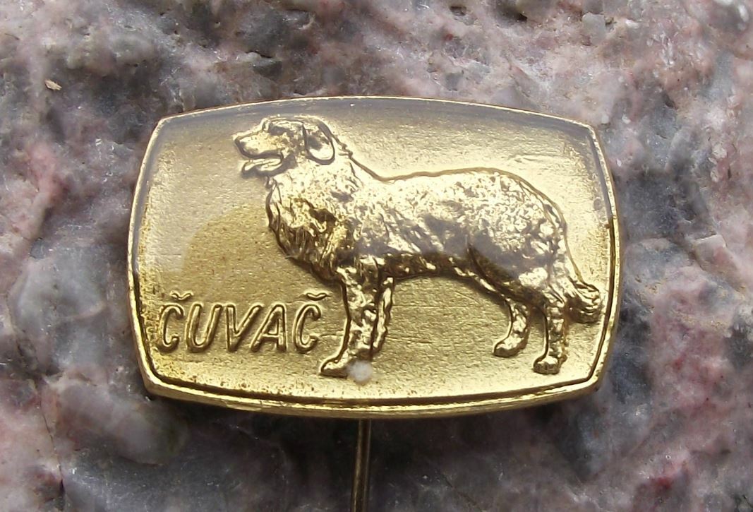 Antique Slovak Cuvac Pedigree Czech Mountain Dog Breeders Association Pin Badge
