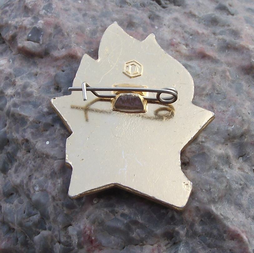 Vintage For Active Work Award Soviet Russian Young Pioneer Youth Lenin Pin Badge - Badgecrazy