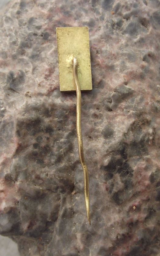 Angelfish Pterophyllum Aquarium Tropical Fish Club Czechoslovakia Pin Badge - Badgecrazy