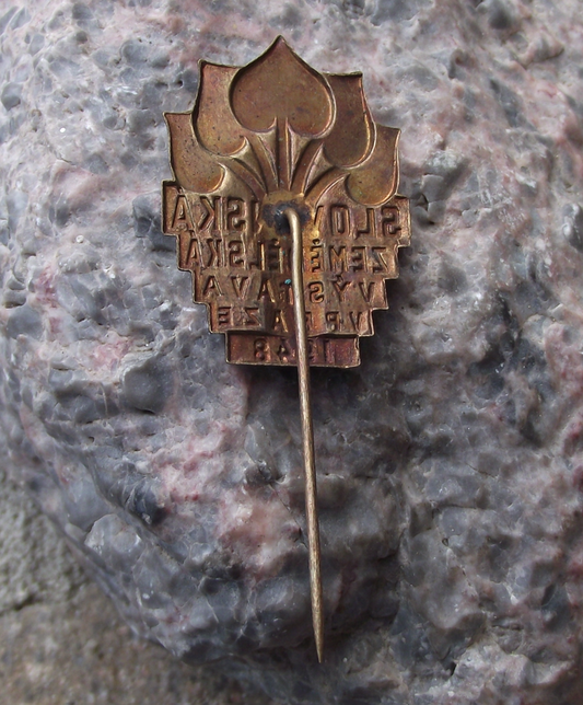1948 National Slavic Agricultural Fair Show Expo Prague Farming Farm Pin Badge - Badgecrazy