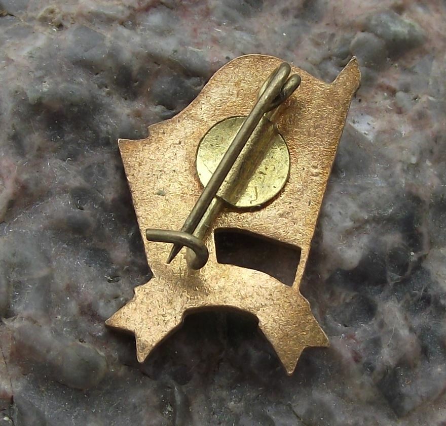 Antique Vointa FC Football Club Bucharest Romania Soccer Flag Pin Badge - Badgecrazy