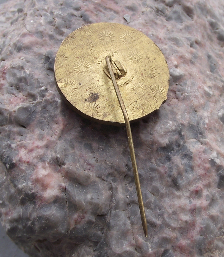 Vintage High Tatra Mountains Edelweiss Flower National Park Deer Pin Badge - Badgecrazy