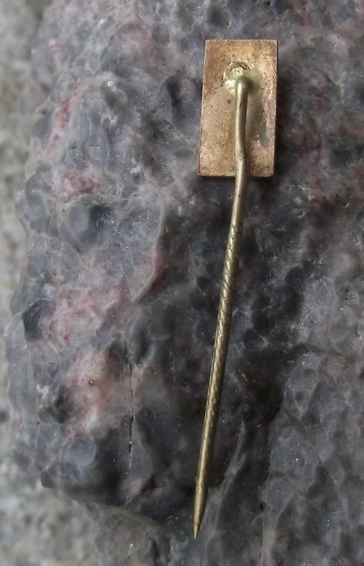 Antique CSL Czech Czechoslovak Peoples Party Political National Flag Pin Badge - Badgecrazy
