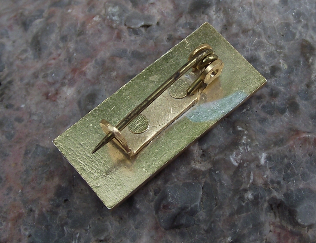 Vintage UJSE Jordanian Student Union in Europe UIS Members Pin Badge - Badgecrazy