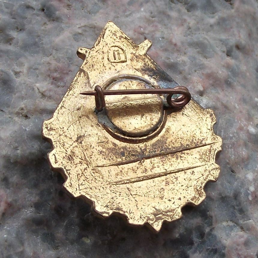 Vintage Young Technician Soviet Union CCCP Youth Communist Pioneer Pin Badge