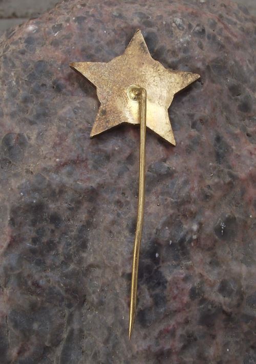 1950s Svazarm Czech Army Reserve Excellent Preparedness Paramilitary Pin Badge - Badgecrazy