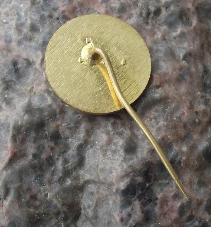 Antique Vysoke Tatry High Tatra Mountains Czechoslovakia National Park Pin Badge - Badgecrazy