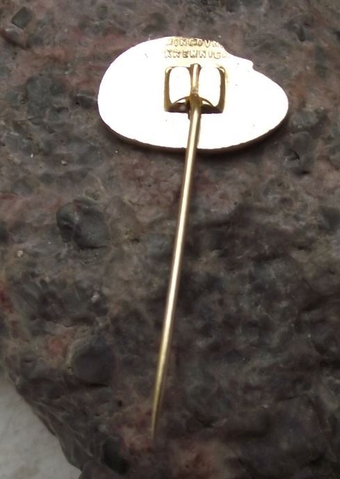 Vintage Brno Zoo Indian Gavial Crocodile Alligator Species Protection Pin Badge - Badgecrazy