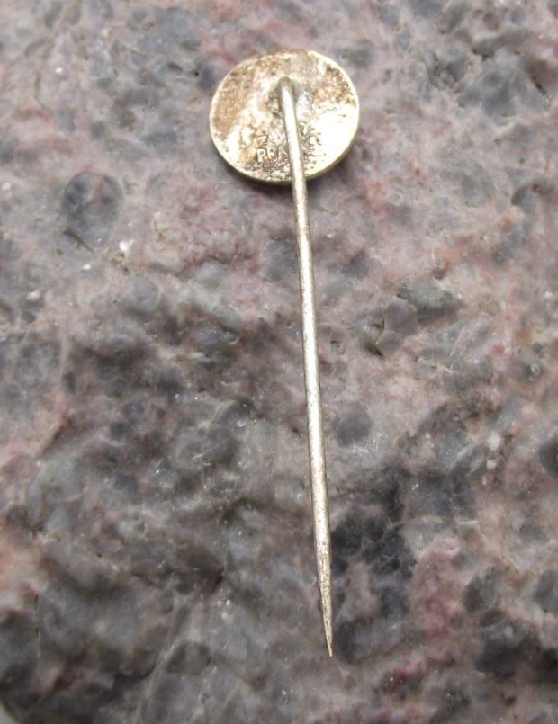 Zelezna Ruda Markt Eisenstein Snowflake Snow Motif Czech Souvenier Pin Badge