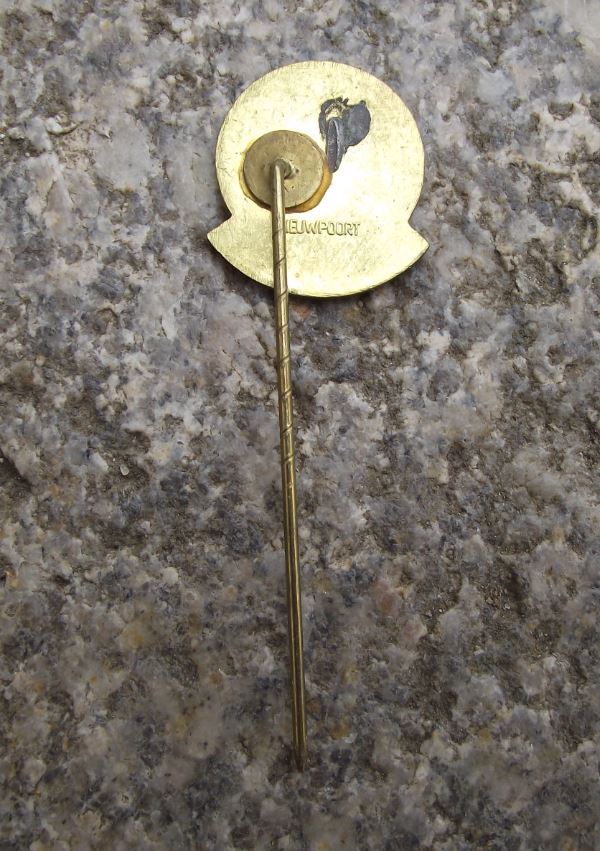 Antique VW Volkswagen Westphalia Type 2 Split Windshield Camper Van Pin Badge - Badgecrazy