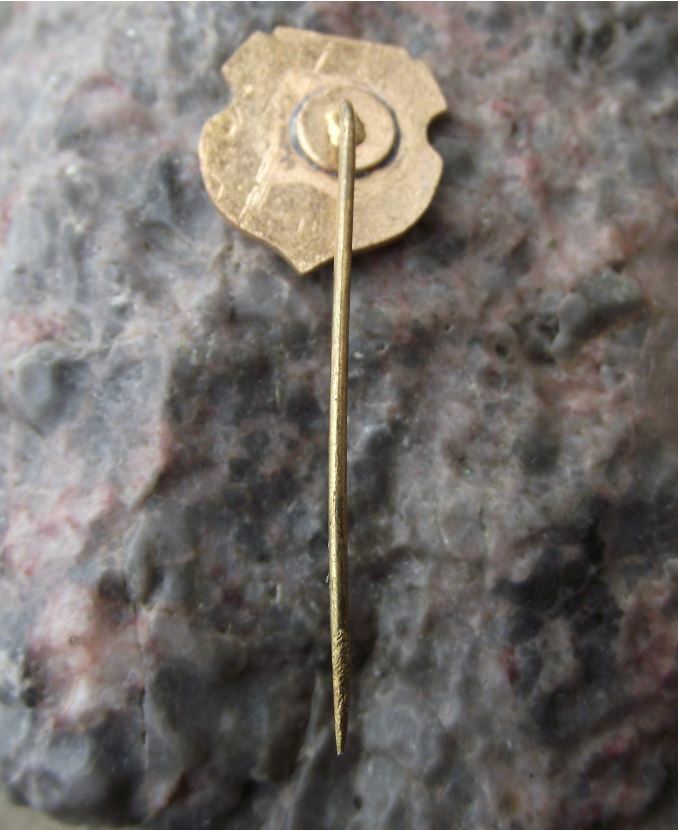 Vintage AS Aurul Brad 1934 Romania Soccer Football Club Crest Shield Pin Badge - Badgecrazy