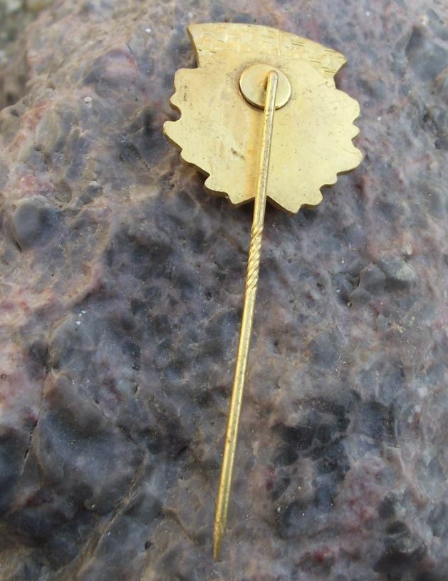 1974 Ludwigshafen Germany Shooting Competition District Champion Gold Pin Badge - Badgecrazy