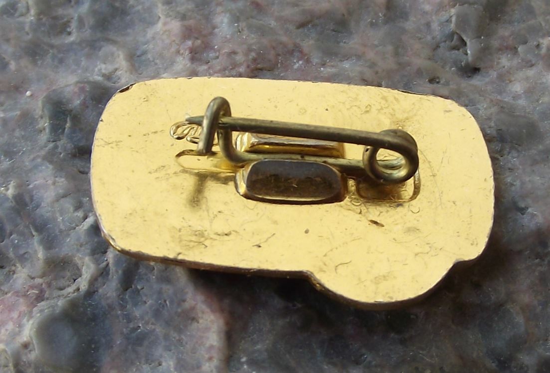 Vintage Mashpriborintorg Soviet Union First Camera in Space Rocket Pin Badge - Badgecrazy