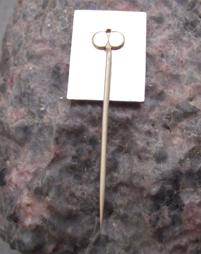 1966 International Dog Breeders Club Show Event Brno Schnauzer Breed Pin Badge - Badgecrazy