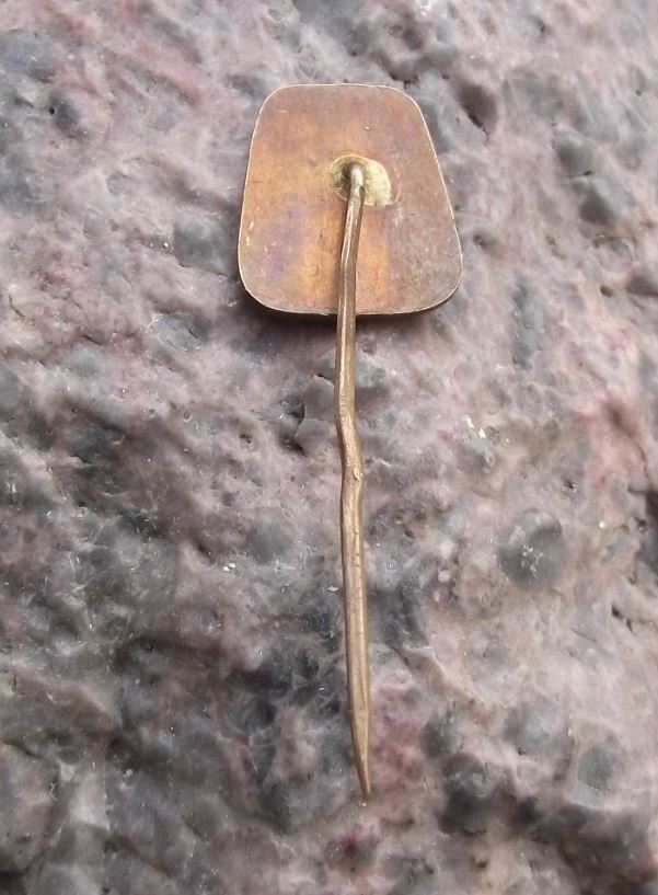 Vysoke Tatry High Tatra Mountains Forest Tree Czech National Park Pin Badge