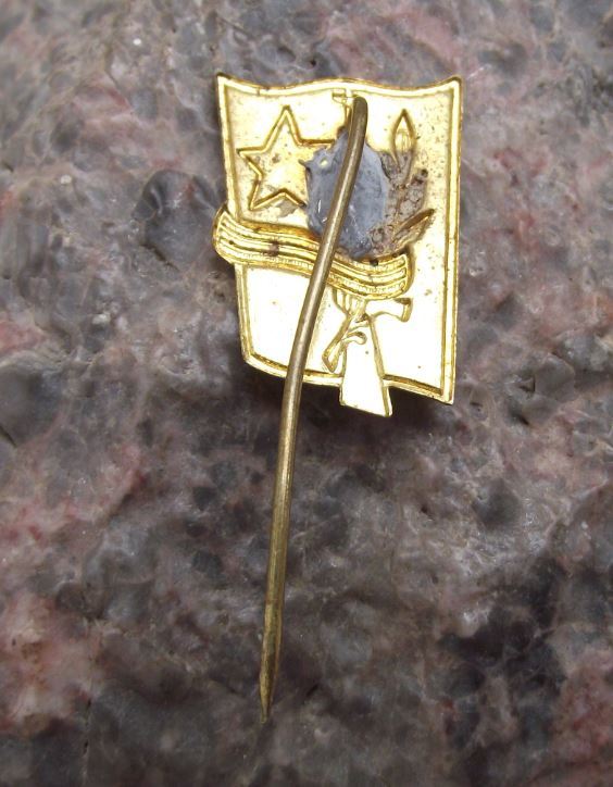 Hungary Cold War Warsaw Pact Automatic Rifle Machine Gun Army Infantry Pin Badge - Badgecrazy