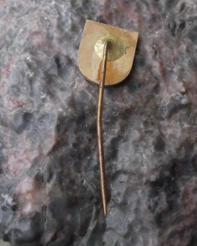 Antique Liben Prague 8 Fishing Angling Association CSRS Pike Fish Pin Badge - Badgecrazy