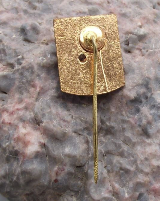 Vintage AGVPS Romanian Hunting Association Society Stag Deer Members Pin Badge - Badgecrazy