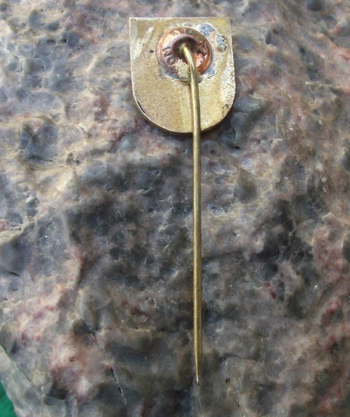 Antique Pivovara Pivovar Daruvar 1840 Croatia Pivo Lager Beer Pin Badge - Badgecrazy