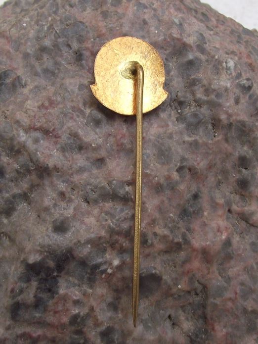 1960 Czech Coal Fired Electricity Power Station 60th Anniversary Pin Badge - Badgecrazy