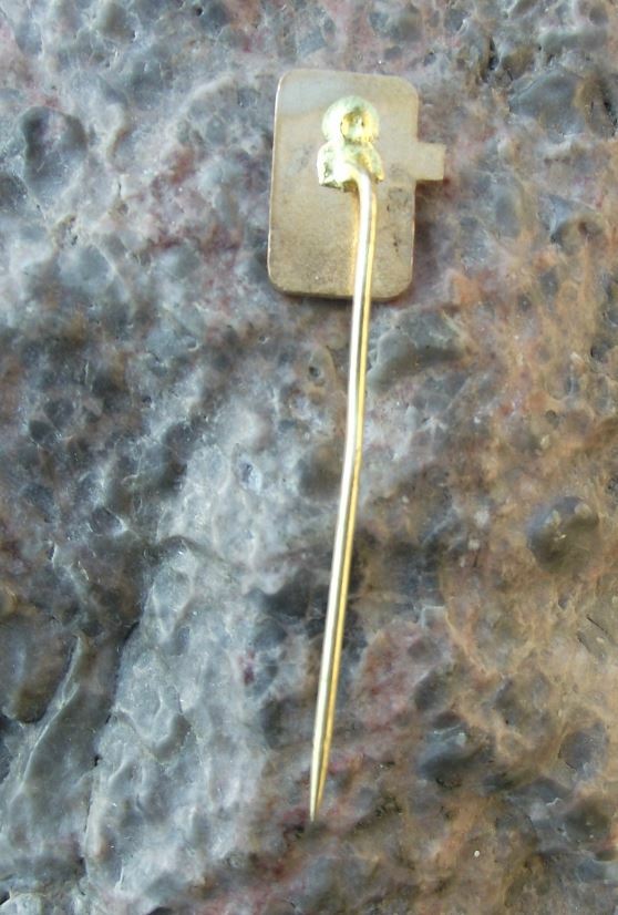 Antique Trebjesa Pivovara 1911 Nik Montenegro Brewery Lager Beer Pin Badge - Badgecrazy