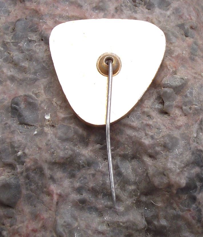 Antique Szczeliniec Ziemia Klodzka Poland Tourist Souvenier Shield Pin Badge - Badgecrazy
