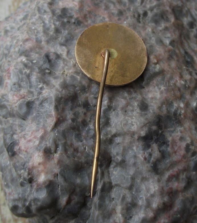 Vintage Czechoslovakia Military Army Parachute Wings Laurels Pin Badge - Badgecrazy