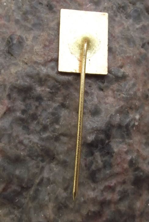 1981 CACIB Poodle Breed World Champion Dog Breeders Show Event Brno Pin Badge - Badgecrazy