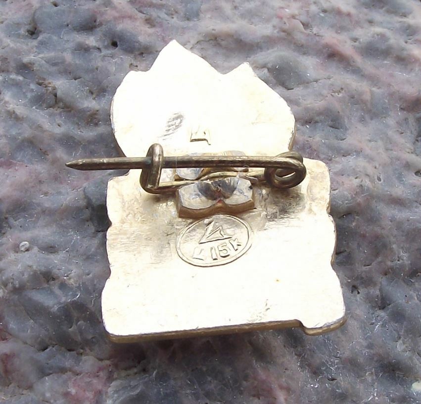 1972 Soviet Union Young Pioneer Youth 50th Anniversary Flames Motif Pin Badge - Badgecrazy