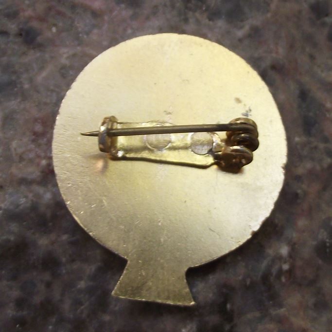 Young Naturalist Czechoslovakia Youth Pioneer Nature Award Stage 1 Pin Badge