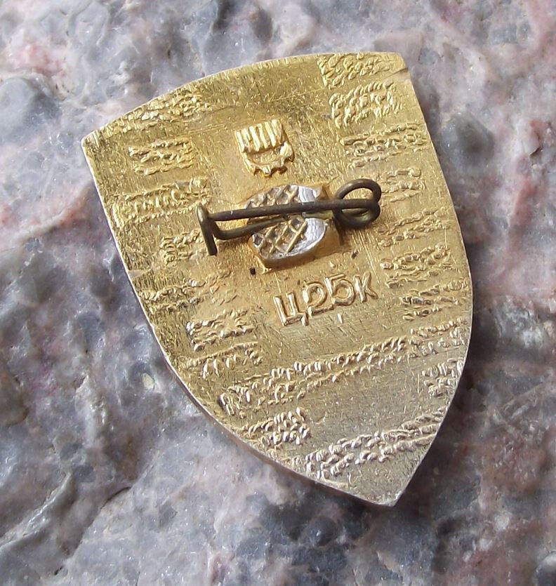 Vintage Kiev Region Ukraine Coat of Arms Heraldic Crest Pin Badge - Badgecrazy