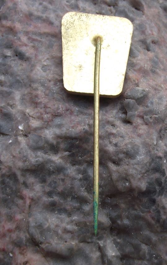 Antique University of Usti nad Labem Pedagogy Teaching Teacher Faculty Pin Badge - Badgecrazy