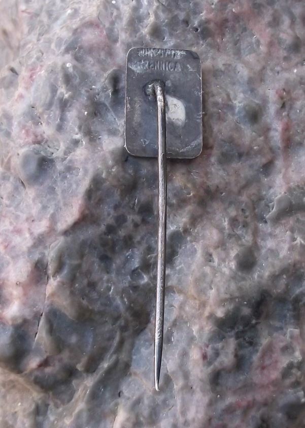 Vintage Angelfish Pterophyllum Aquarium Czech Tropical Fish Club Pin Badge - Badgecrazy