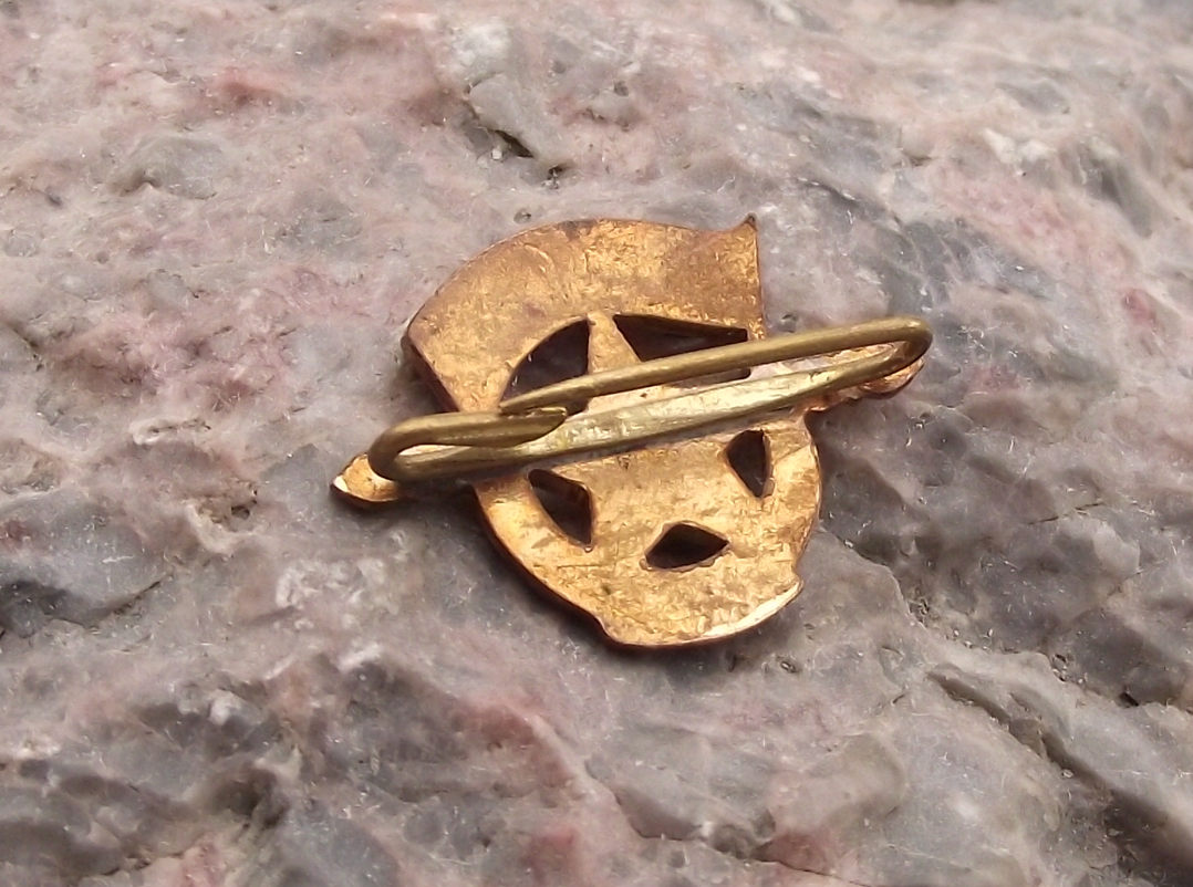 Vintage KSC Czechoslovakia Communist Party Official Membership Brooch Pin