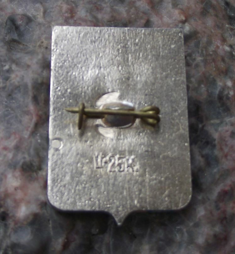 Vintage Borovichi Soviet Union Coat of Arms Heraldic City Crest Pin Badge - Badgecrazy
