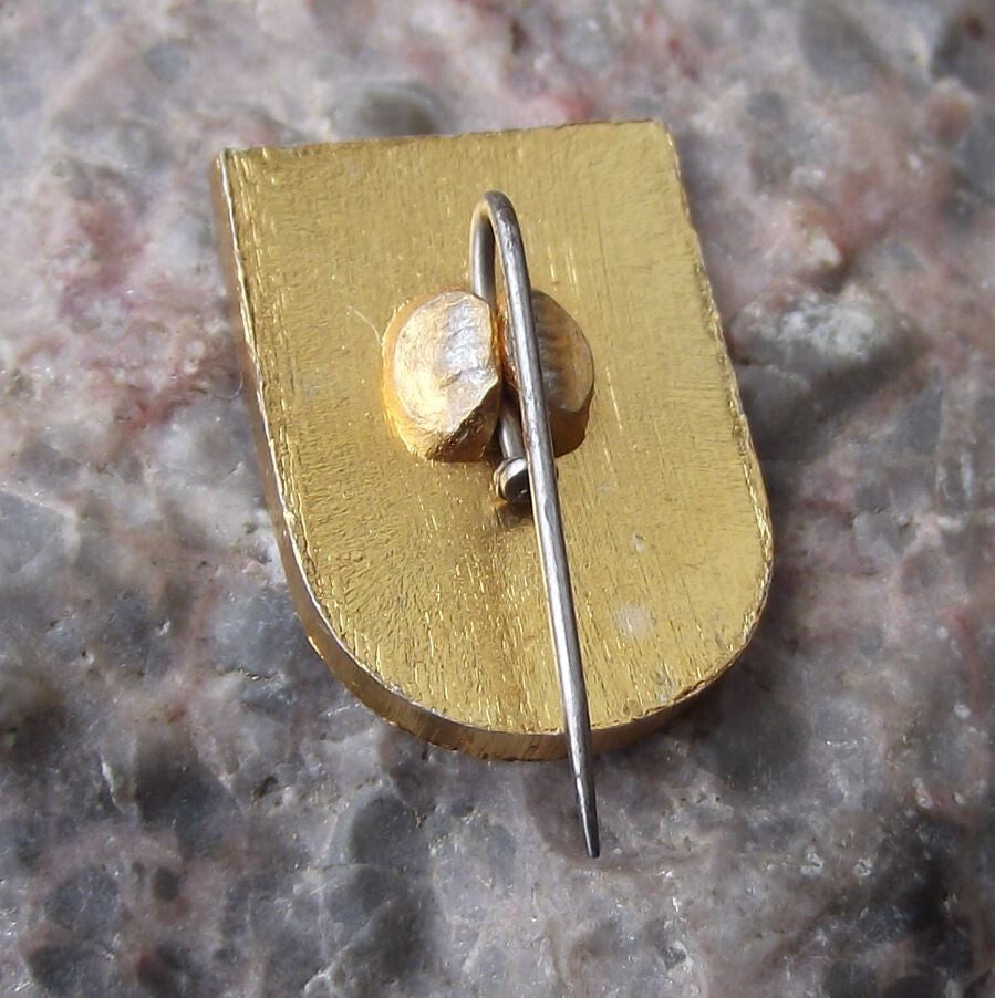 Vintage Bieszczady Polish City Poland Heraldic Crest Coat of Arms Pin Badge - Badgecrazy