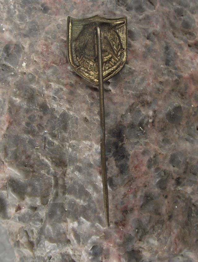 1959 NAW Nationale Aufbauwerk GDR German National Front Compass Hammer Pin Badge - Badgecrazy