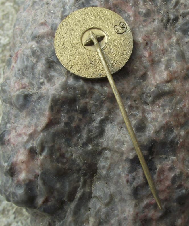 1993 Janko Kral Czechoslovakia Poet Slovak Gymnazium 80th Anniversary Pin Badge - Badgecrazy