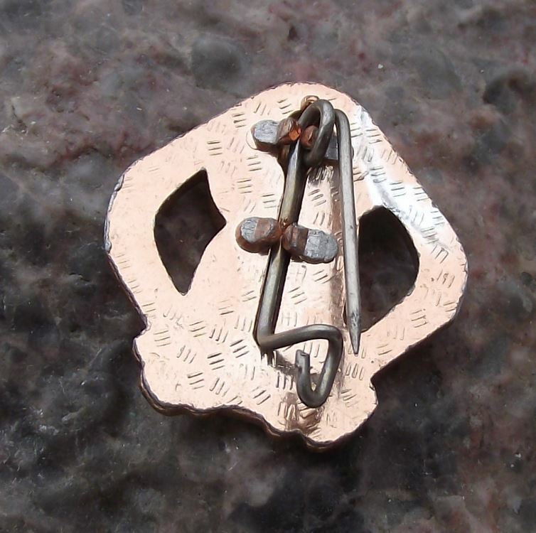 Antique DTSB East German DDR GDR Central Sports Performance Diamond Pin Badge - Badgecrazy