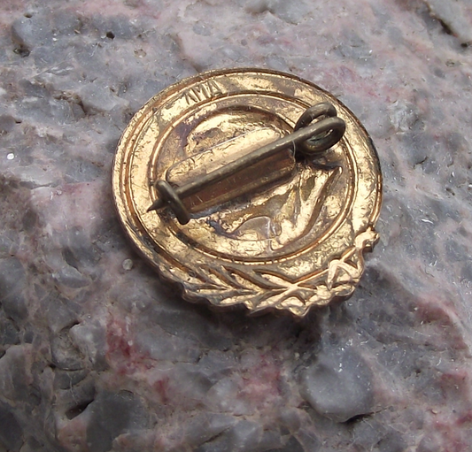 Vintage Vladimir Lenin Head Communist Leader Laurel Leaves Pin Badge - Badgecrazy