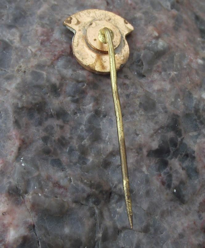 Vintage LAR of Romania Romanian Airlines Aircraft Airliner Tail Logo Pin Badge - Badgecrazy