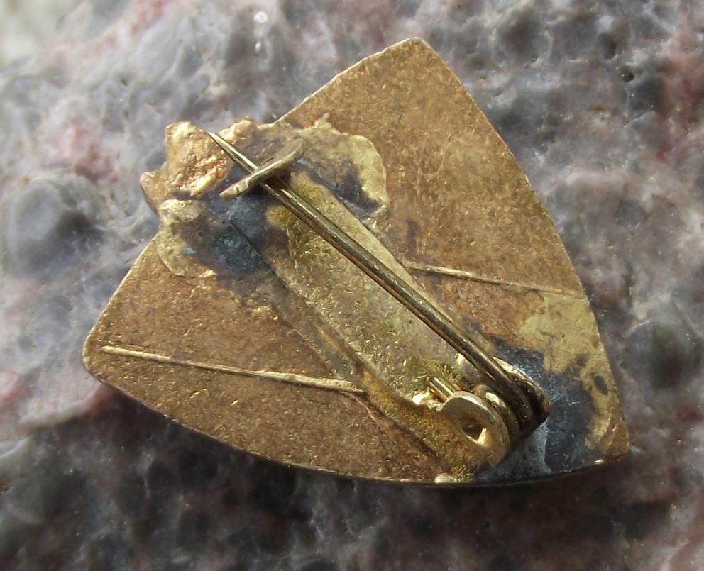 Antique Vysoke Tatry High Tatra Mountain Edelweiss Flower Nature Park Pin Badge - Badgecrazy