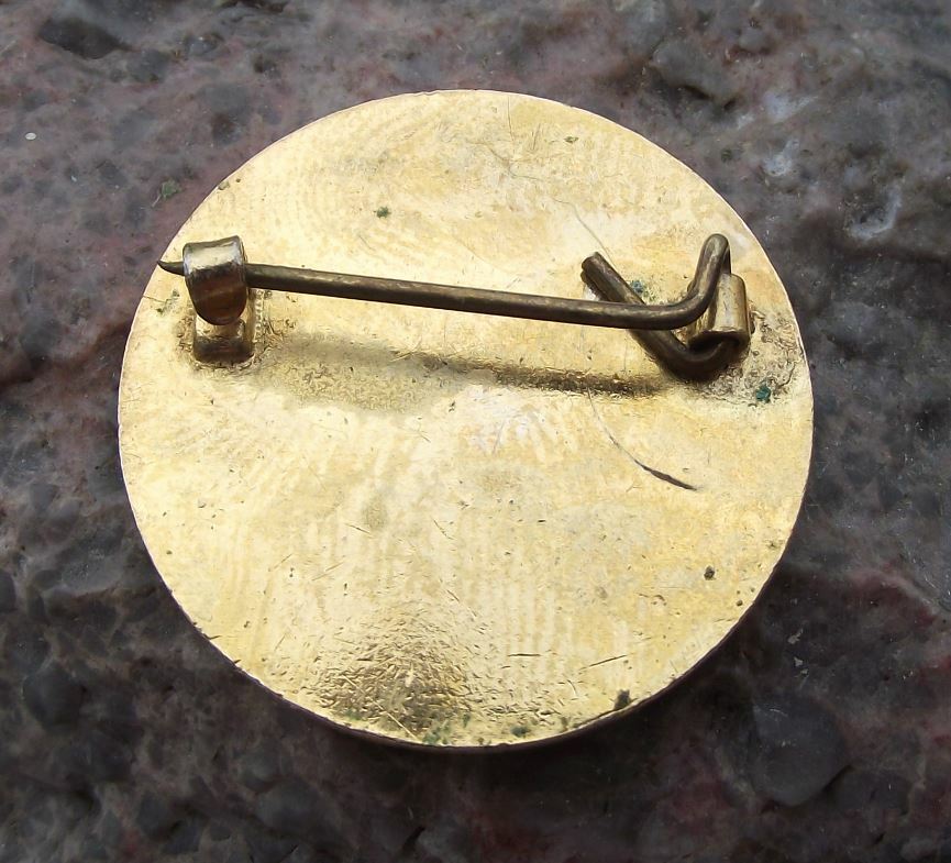 Lourdes Joe Walsh Tours Ireland Irish Religious Christian Pilgrimage Pin Badge - Badgecrazy