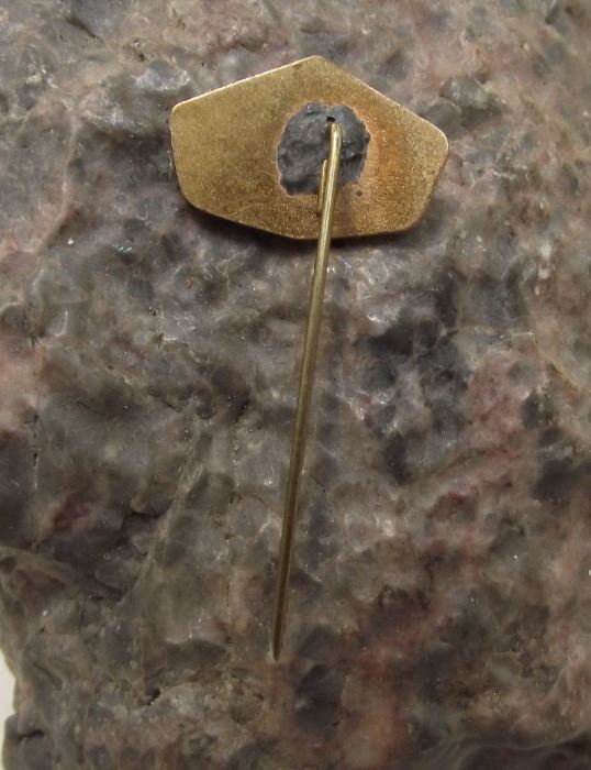 Antique Csepel Auto Automobile Medium Truck Lorry Hungary Factory Logo Pin Badge - Badgecrazy