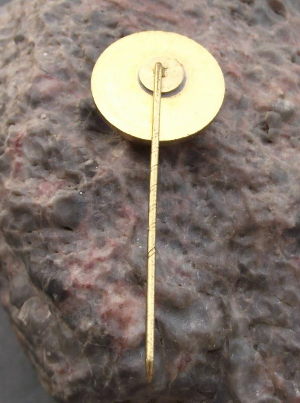 Vintage Castrol British Oil Formula 1 One Auto Lubricant Company Pin Badge - Badgecrazy