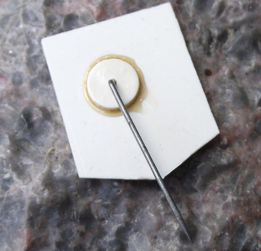 Zabrze Polish Poland Heraldic City Crest Coat of Arms Shield Plastic Pin Badge - Badgecrazy